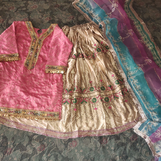 Traditional ghagra choli / Lehenga